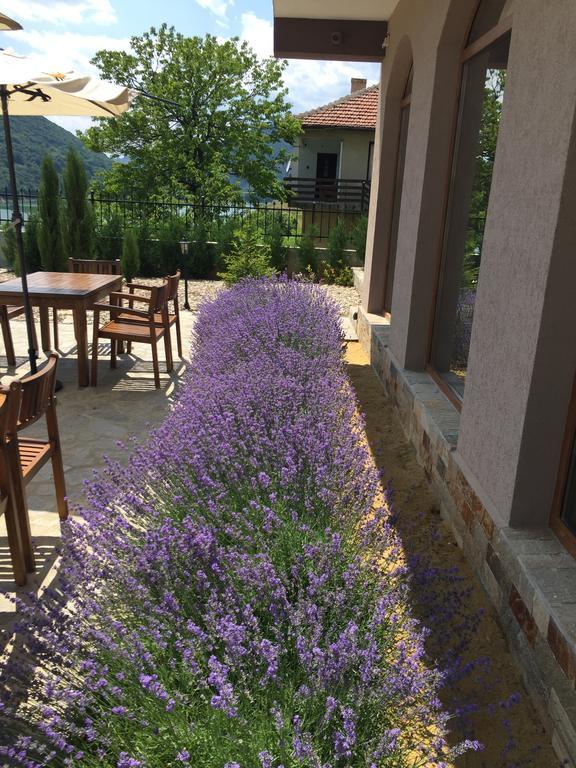 Eco House Kitana Hotel Asparuhovo Eksteriør billede